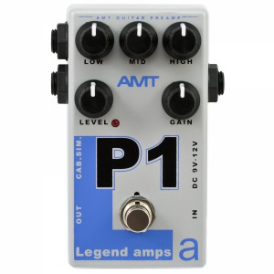 AMT-P1-1